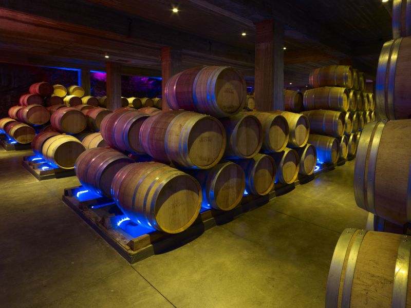 Du rêve au domaine : l’ascension de Château St. Thomas
