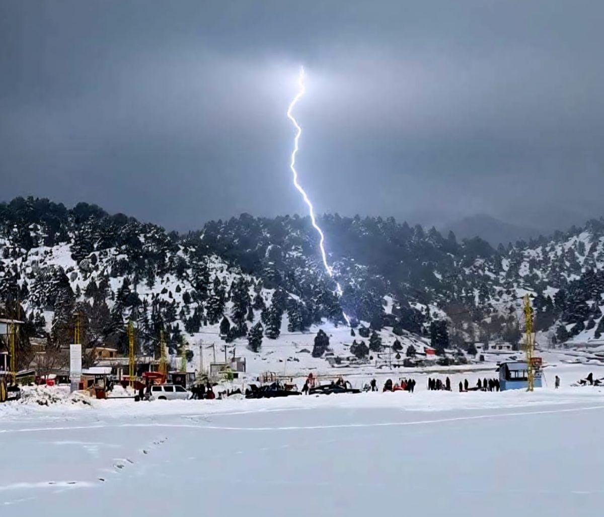 Tempête au Liban : routes bloquées par la neige et arbres déracinés