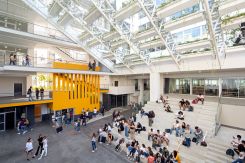 L’atrium central du campus de l’ALBA, articulé autour de gradins et surmonté d’un toit végétalisé, conçu par l’agence AAA pour favoriser les échanges et la vie communautaire étudiante. Photo fournie par l'Agence AAA
