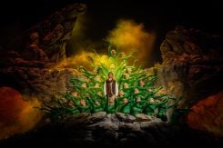 Le spectacle "Al Awda " de Mayass. Photo Rudy Yazbeck -