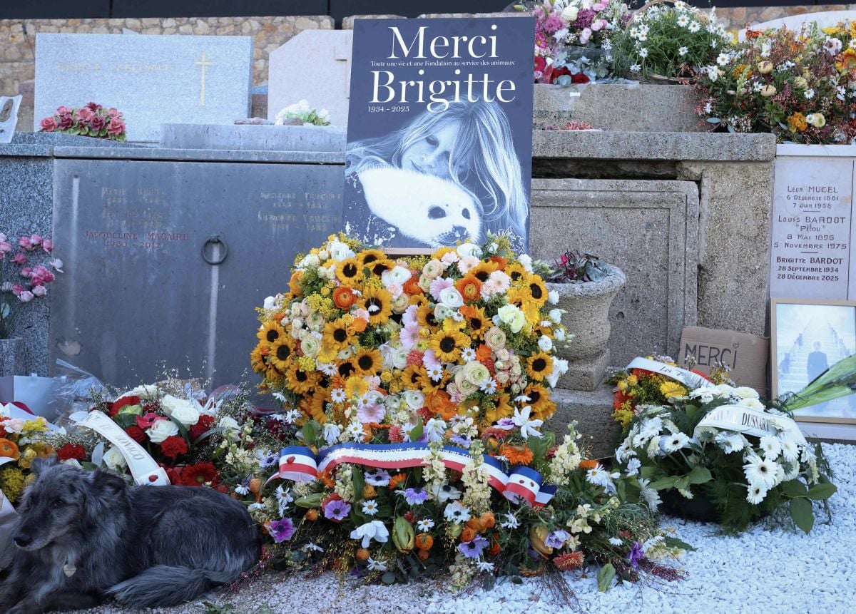 'She'd had enough of this country': Brigitte Bardot receives her public farewell in Saint-Tropez