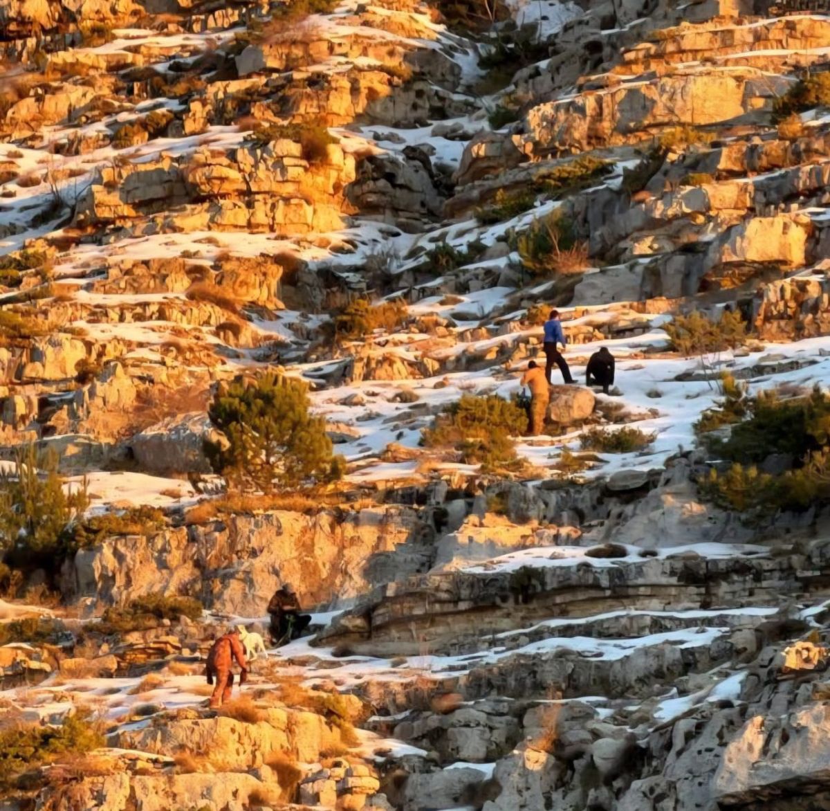Un jeune se tue après une chute dans un ravin dans la forêt d'Ehden