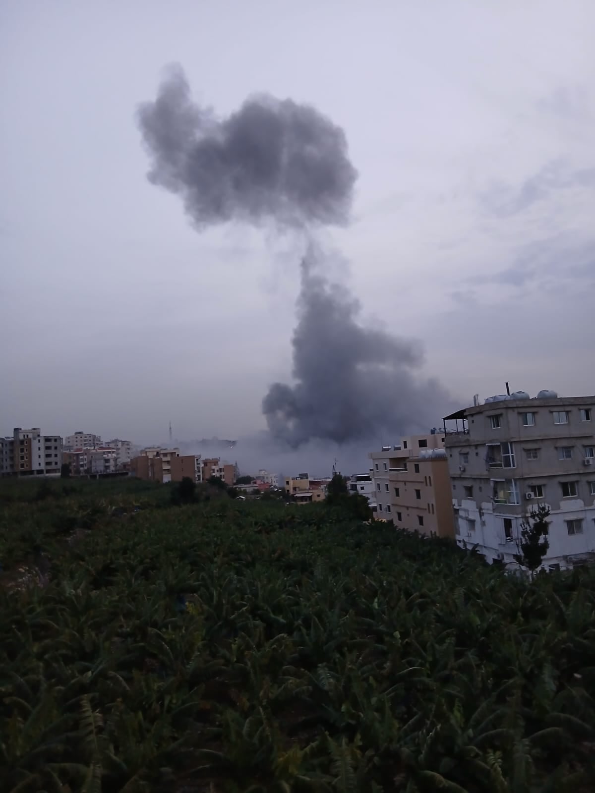  Israël s'acharne sur le Sud, Beyrouth s'indigne : au moins 19 blessés et 50 familles déplacées