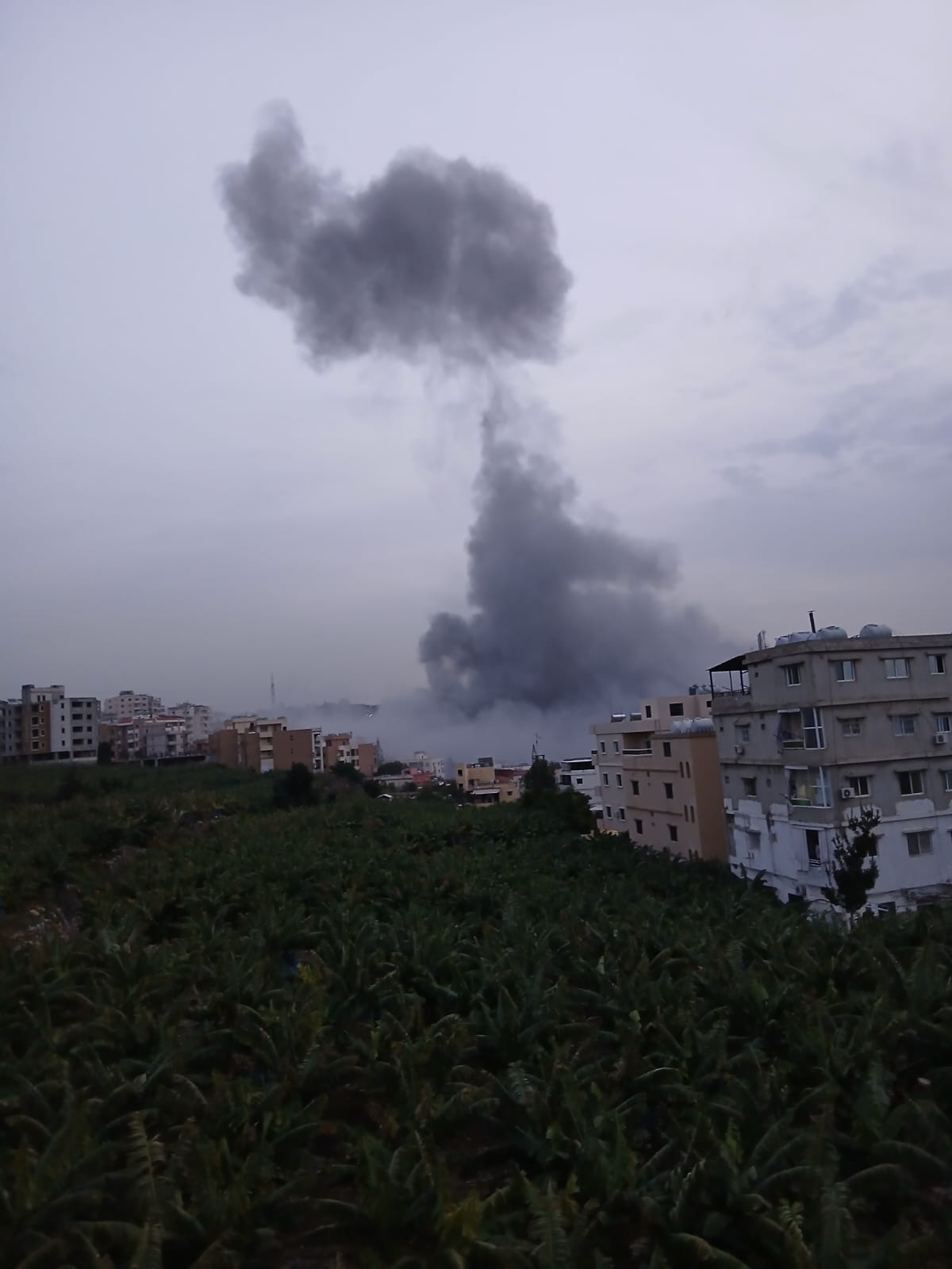 Israeli strikes wound 19, displace dozens in South, Lebanese officials condemn escalation