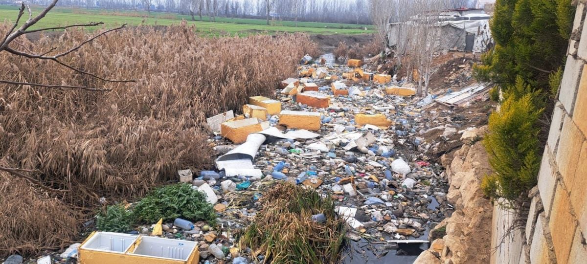 Dans la Békaa, une rivière… de frigos