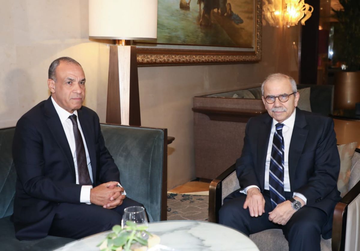 In Beirut to deliver humanitarian aid, Abdelatty says Egypt communicating with all parties 'to stop the attacks on Lebanon'
