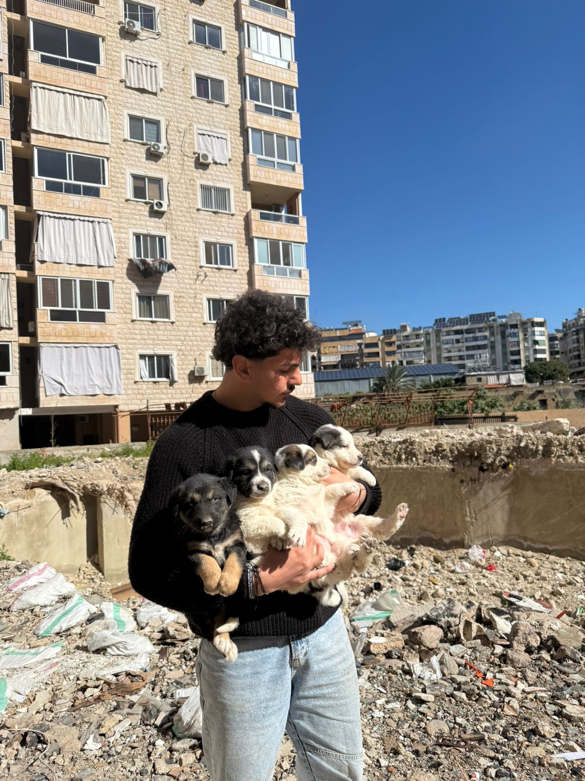 A student risks his life to save animals