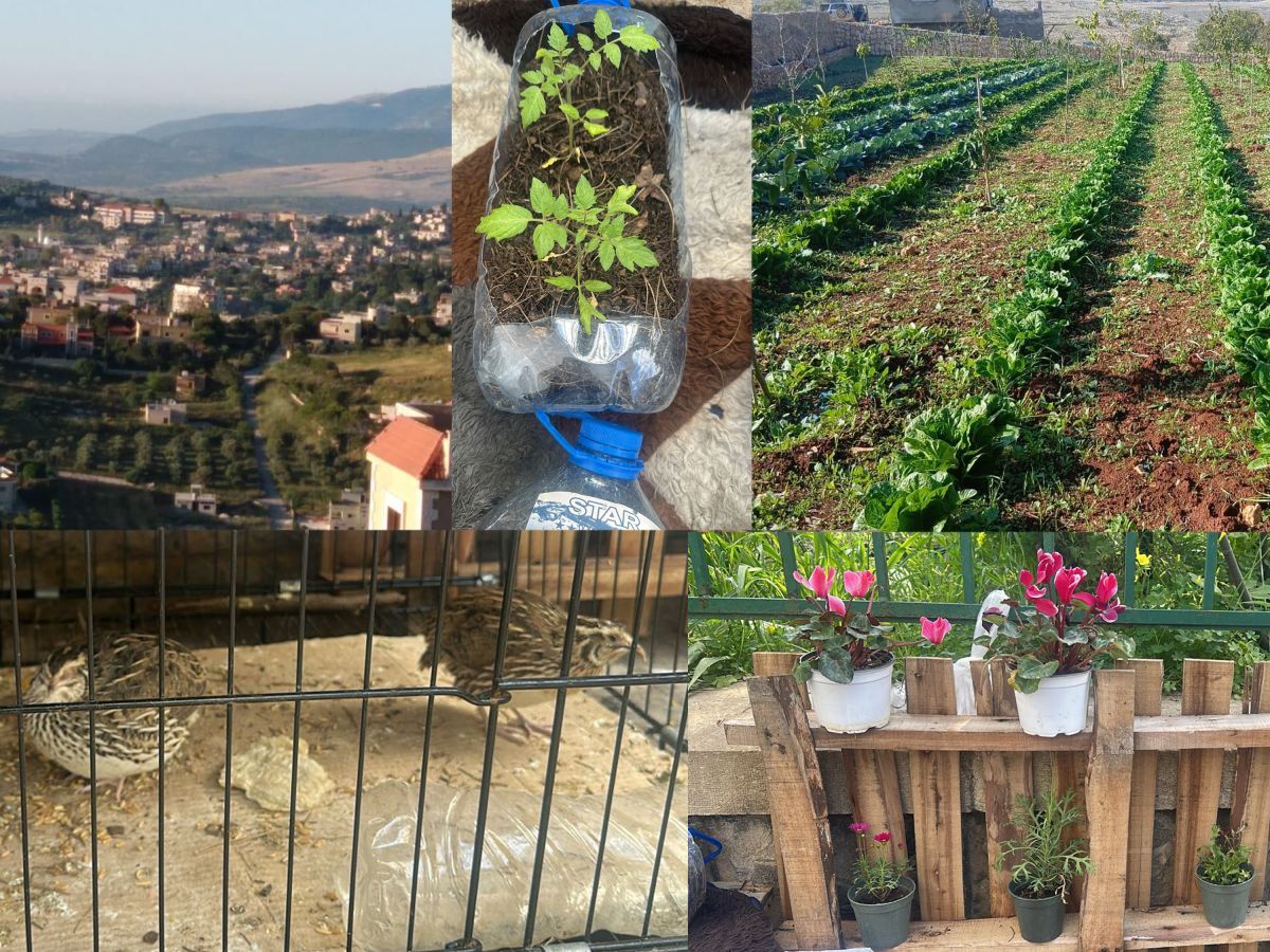 « Le Liban est mon pays, mais Meis el-Jabal est ma terre »
