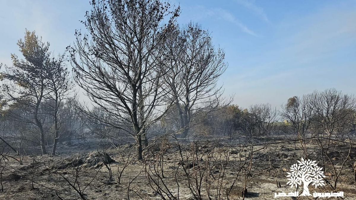 Le coût environnemental des attaques israéliennes au Liban dépasse les 500 millions de dollars