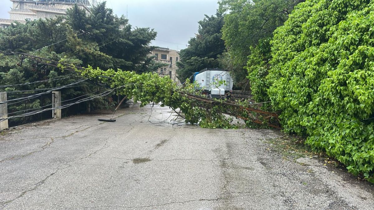 Le mauvais temps fait tomber un arbre sur un pylône de moyenne tension dans le Metn, provoquant une importante panne