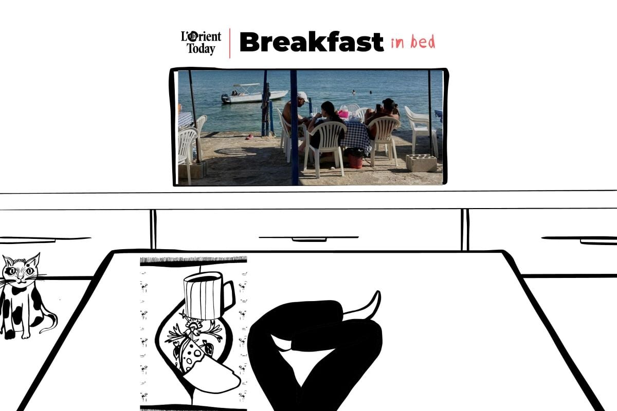 Queerness in Tunisian film, independent Arab music… and leave the monk seals alone!
