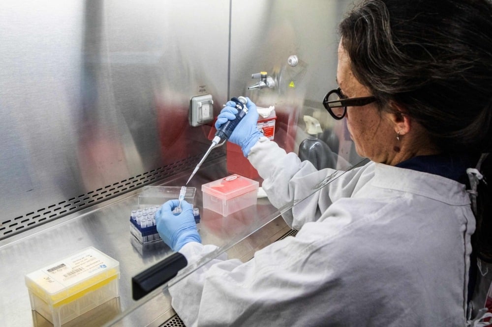 Hantavirus : « On est très loin d’un scénario à la Covid-19 »