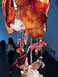 Gros plans sur des peaux de Scoby réalisées par les étudiants avec couleurs et inclusions naturelles. Photo Greta Khoury