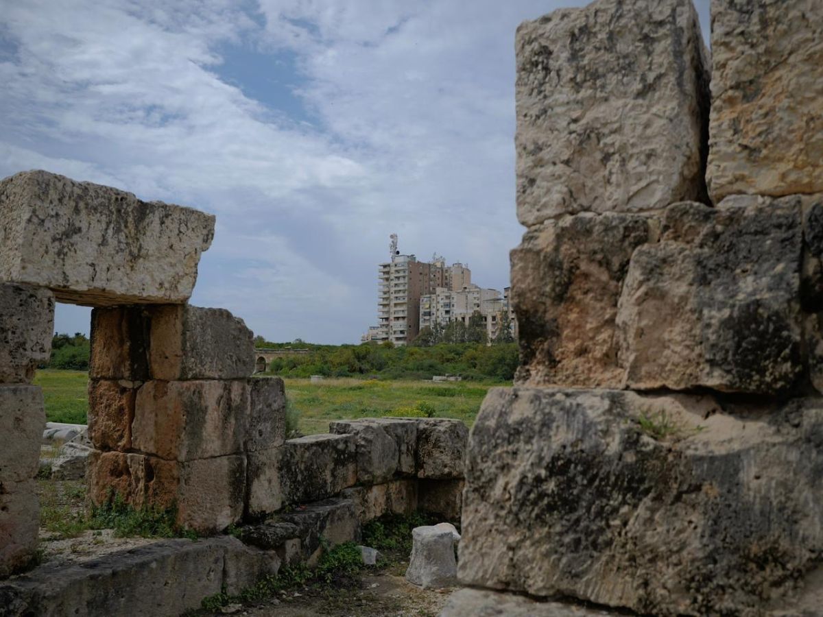 NGOs call for Sour to be added to List of World Heritage in Danger