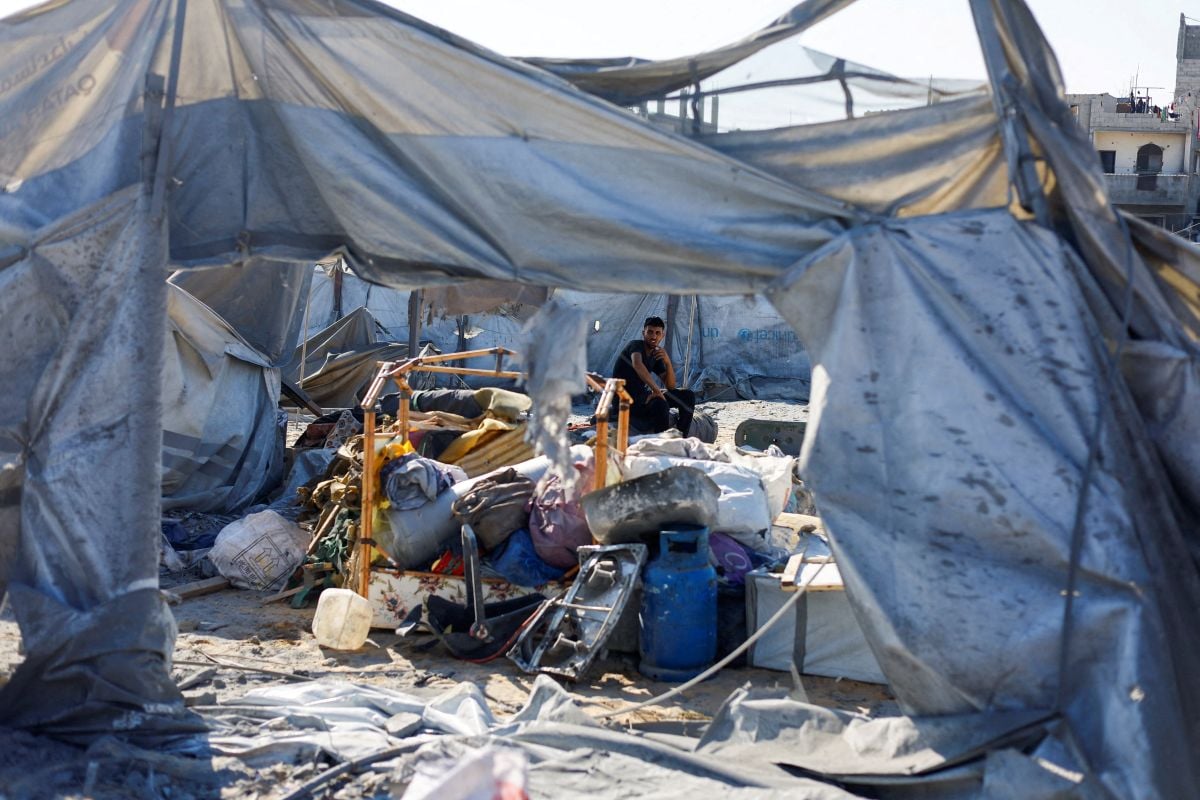 Diaries from Gaza: My struggle with rodents was almost trivial compared to theirs