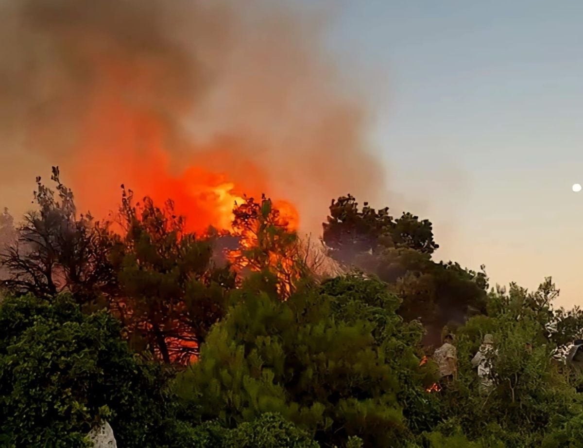 La vague de chaleur au Liban accroît un risque d'incendie déjà élevé