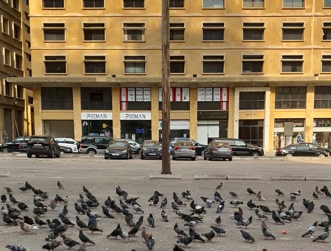 ISF arrest woman impersonating Economy Ministry inspector