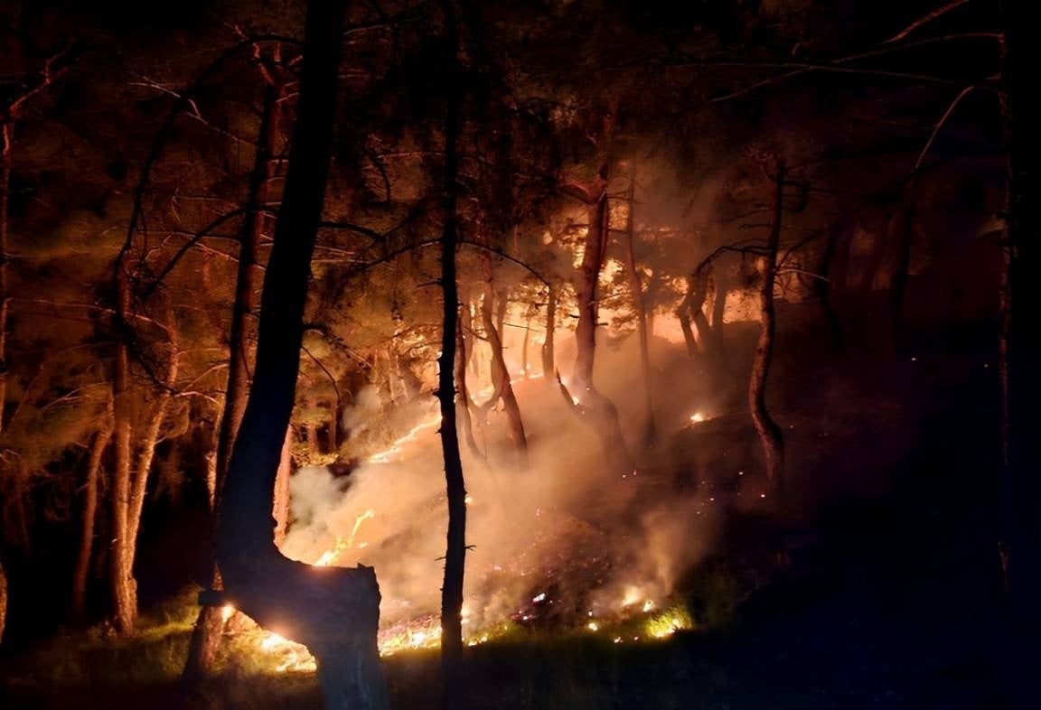 Directives du ministère de l’Agriculture pour prévenir les incendies et les coups de chaleur