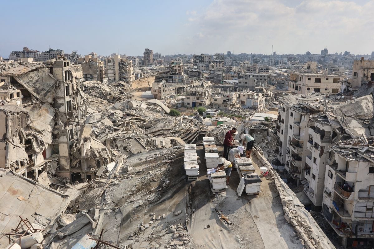 Regional states condemn Israeli strikes in Gaza
