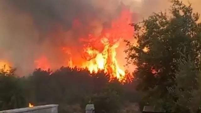 Fires break out in Chouf and Akkar as heat wave grips Lebanon