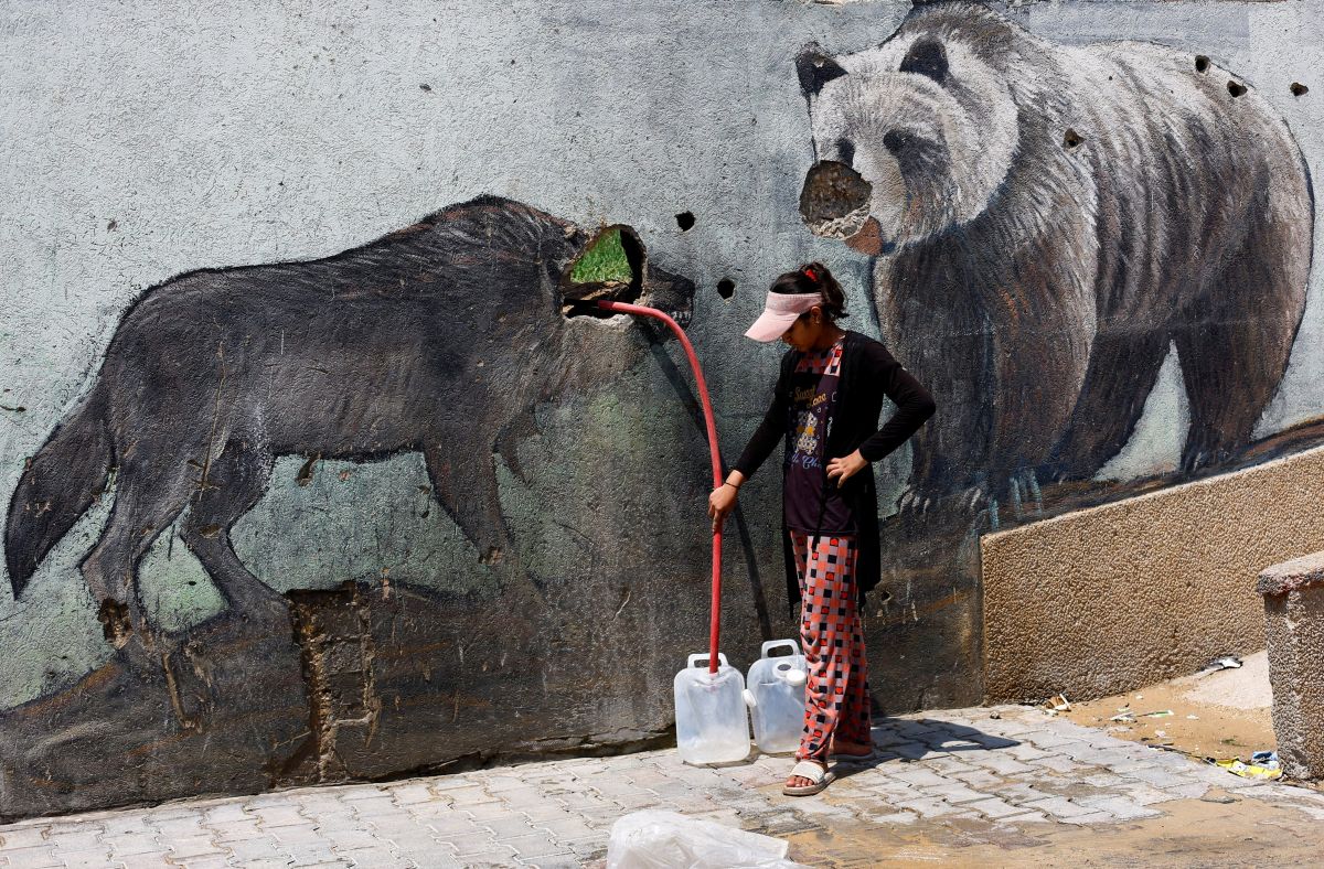 At a zoo, war takes its toll on the animals