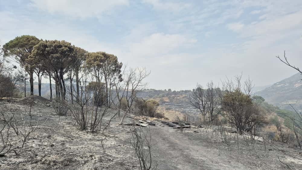 Incendies de forêt : le ministère de l’Agriculture renforce les mesures de prévention