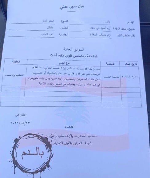 FPM claims responsibility for flyers targeting MPs in Jezzine over general amnesty law