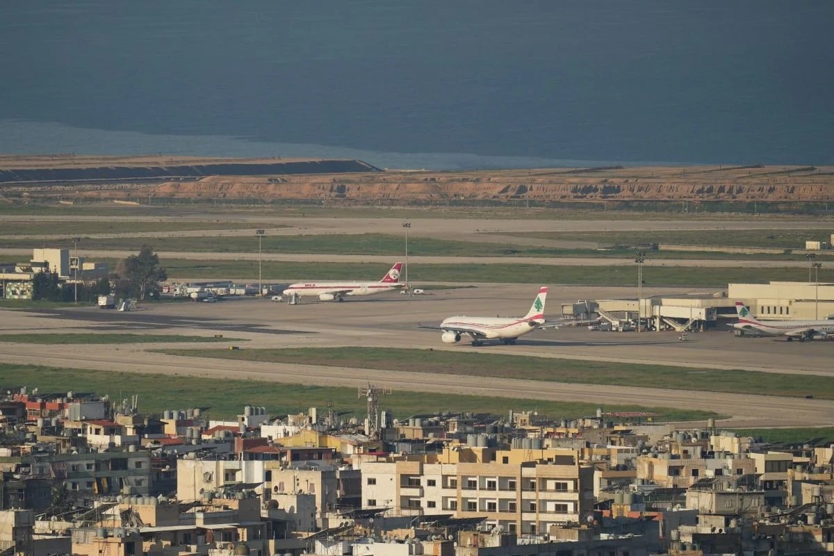 Over 25 bird incidents at Beirut's airport: Farms, slaughterhouses push back against closure order