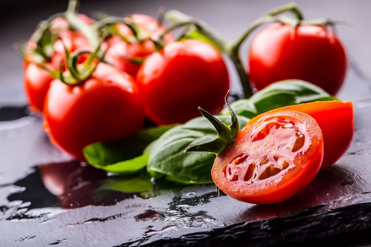 12 recettes de chefs libanais qui mettent la tomate à l'honneur