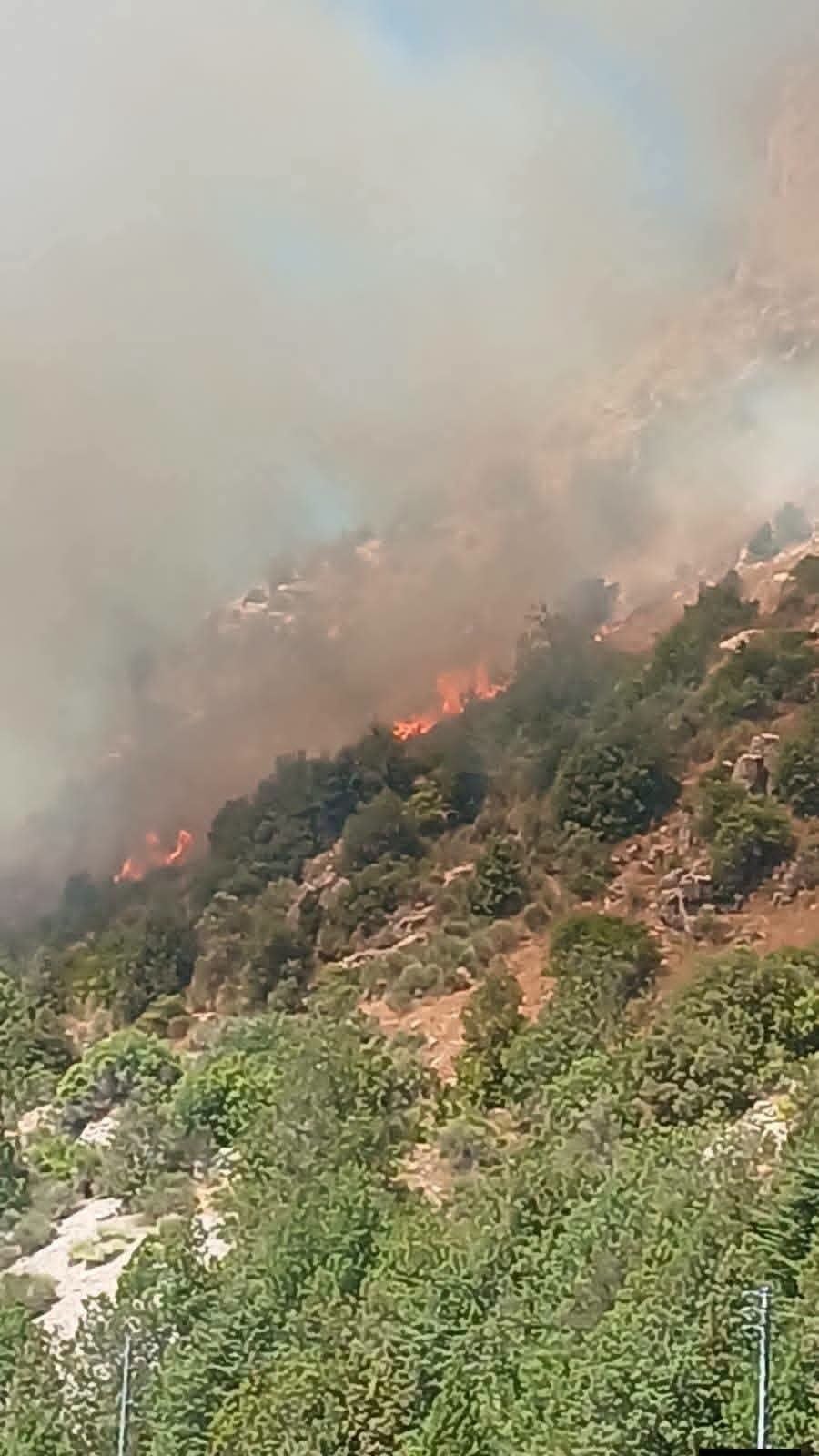 Large fire breaks out near Tannourine Cedars Forest