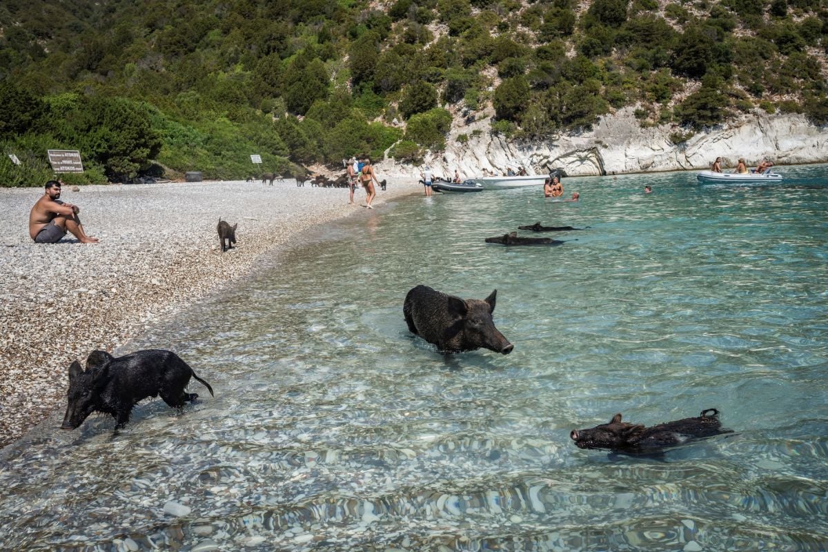 Plages bondées ou rues saturées : quand les nouvelles technologies aident contre le surtourisme