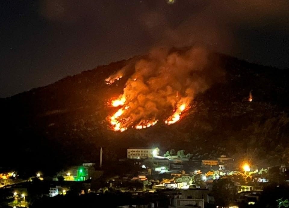16,000 hectares ravaged by fires in south Lebanon between October 2023 and August 2026, environment minister says