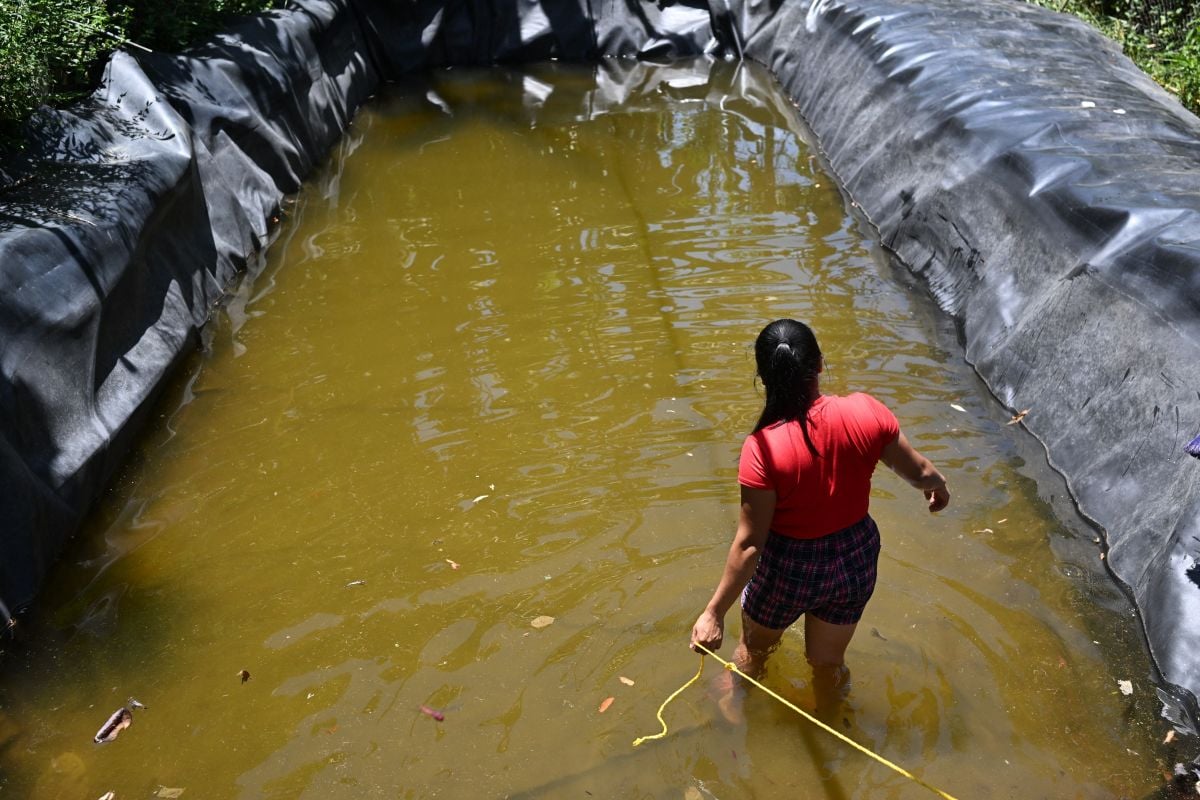 UN warns super El Nino a 'significant' threat to world health