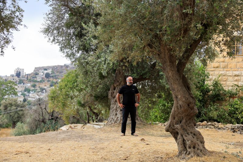 Palestinian killed in Israeli settler attack during olive harvest, officials say