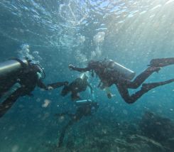 Zeina accompagne Batoul, Nour et Leila lors de leur première plongée sous-marine à Tyr. Photo Tea Ziadé/L’Orient-Le Jour