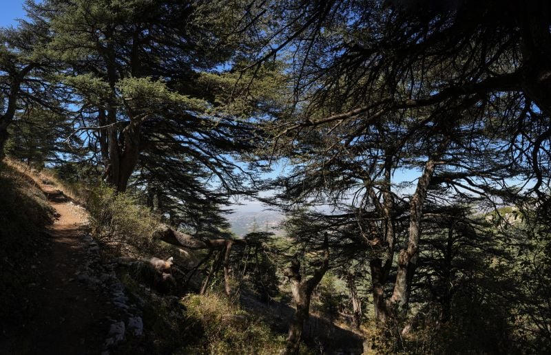 Proposed changes to Lebanon's nature reserve boundaries raise concerns