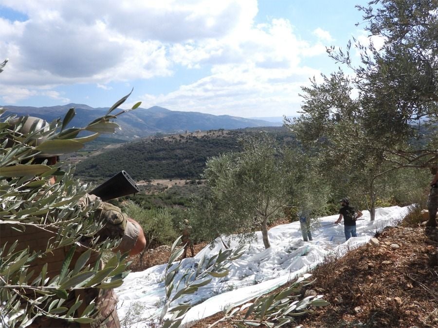 Israel accuses Lebanese Army of failing in its obligations to disarm Hezbollah
