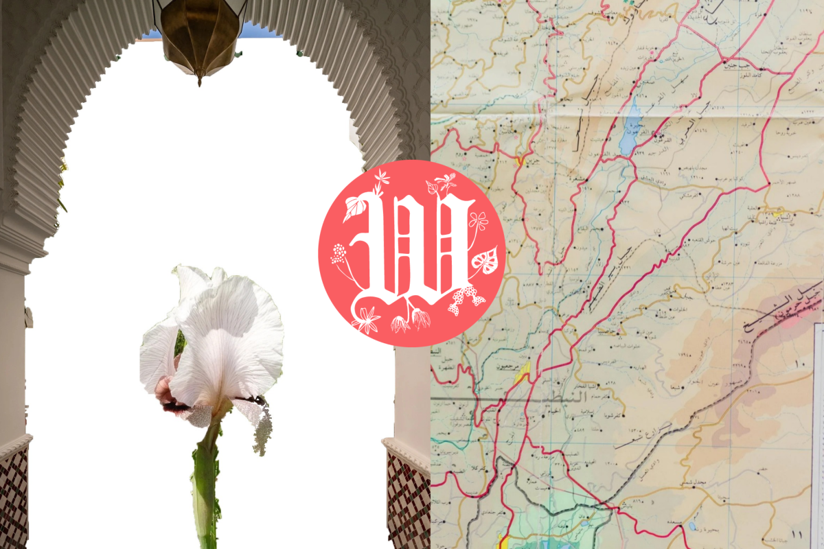 Une fleur rare du Liban-Sud, une championne et des livres : la sélection Mag’ du week-end