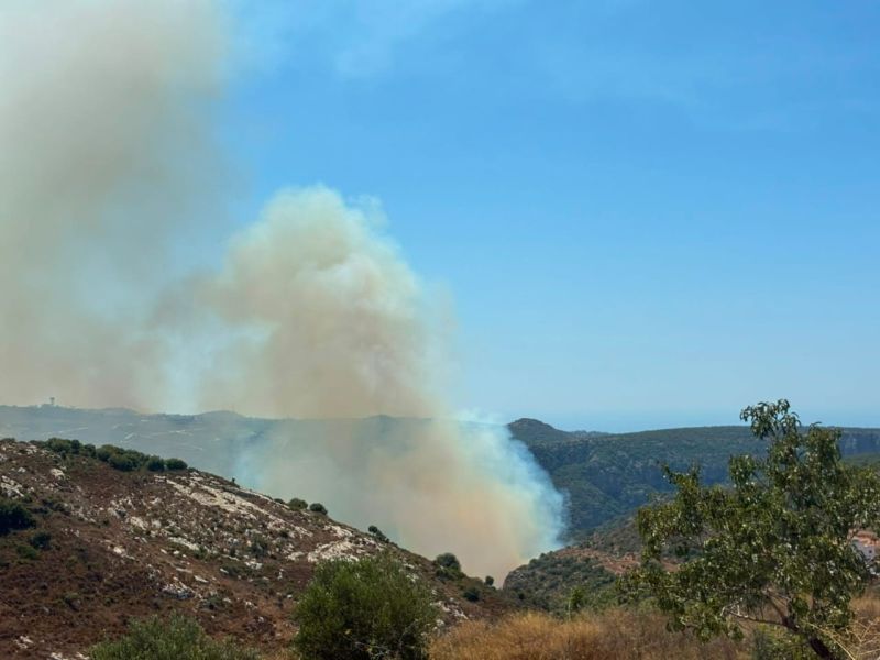 En photo : un incendie dans la vallée de Zebqine