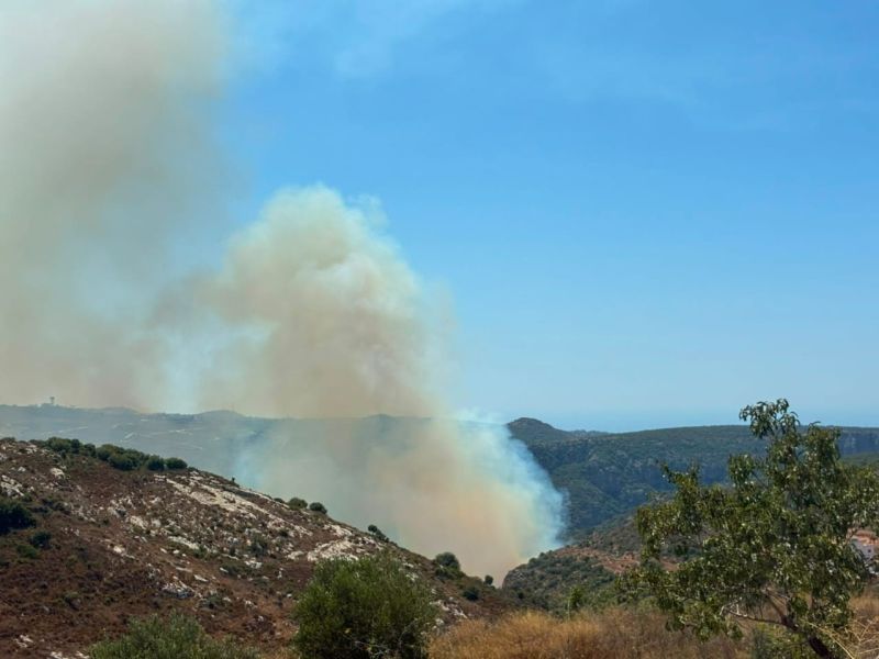 Israel sets forests on fire in Houla; Artillery shelling causes fire to erupt in Zibqine Valley